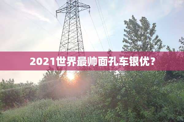 2021世界最帅面孔车银优？