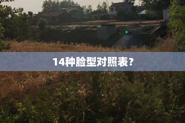 14种脸型对照表？