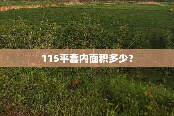 115平套内面积多少？