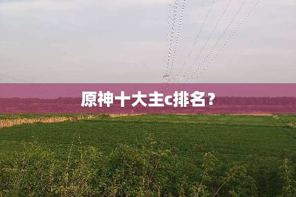 原神十大主c排名？
