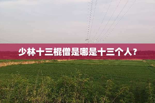 少林十三棍僧是哪是十三个人？