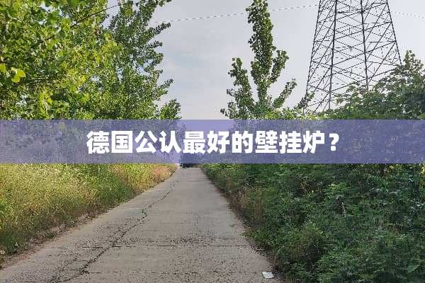 德国公认最好的壁挂炉？
