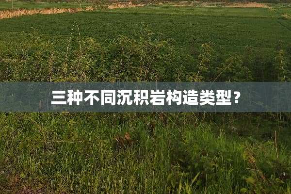 三种不同沉积岩构造类型？
