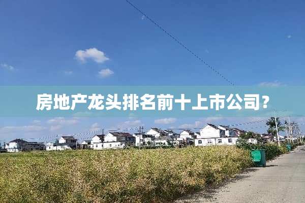 房地产龙头排名前十上市公司？
