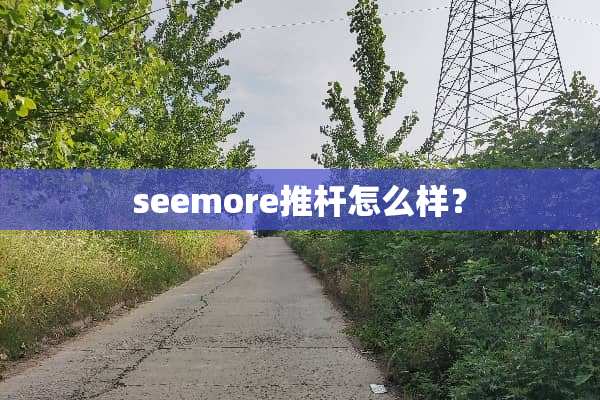 seemore推杆怎么样？