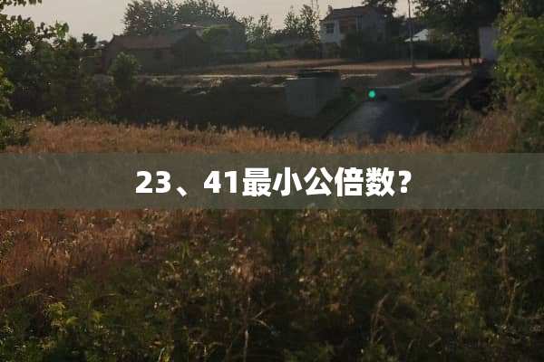 23、41最小公倍数？
