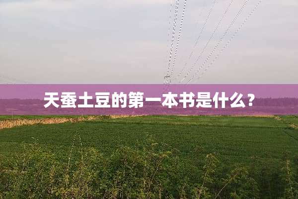 天蚕土豆的第一本书是什么？