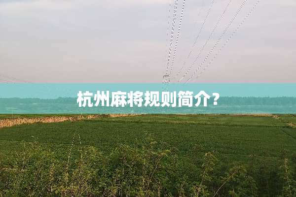 杭州**规则简介？