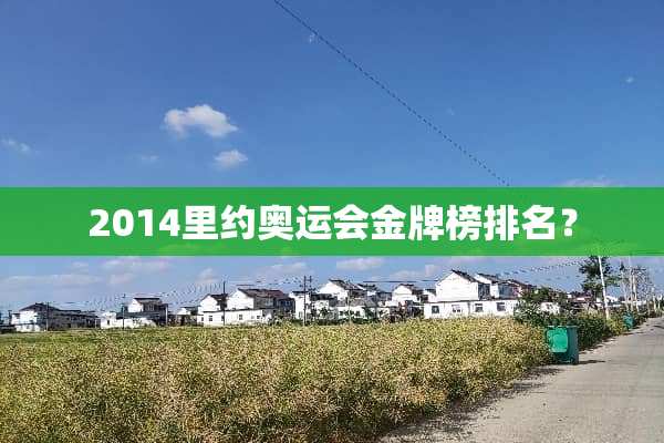 2014里约奥运会金牌榜排名？