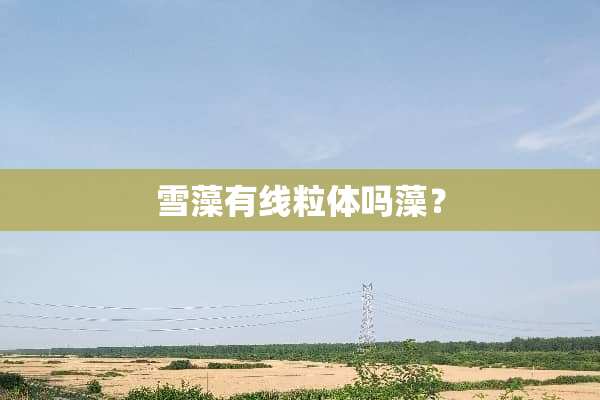 雪藻有线粒体吗藻？