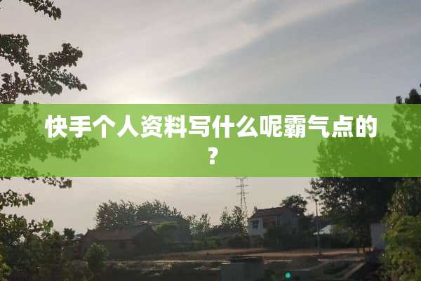 快手个人资料写什么呢霸气点的？