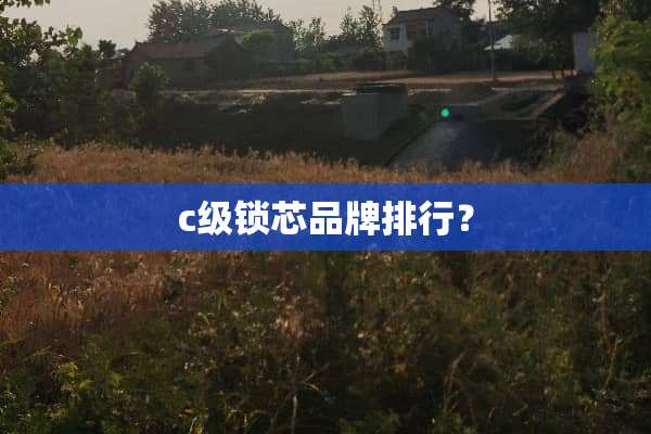 c级锁芯品牌排行？