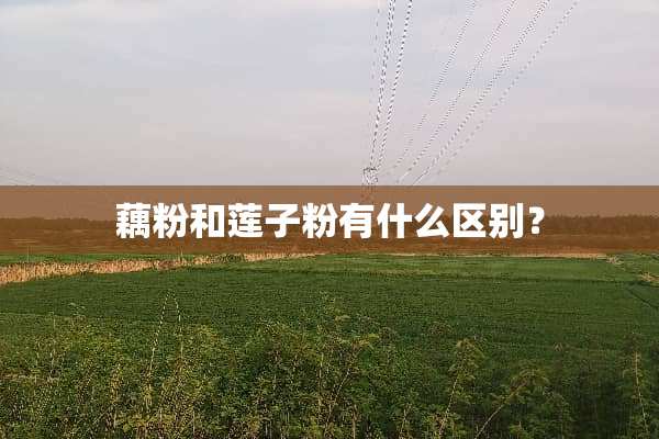 藕粉和莲子粉有什么区别？