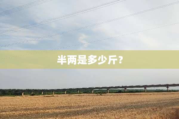 半两是多少斤？