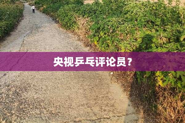 央视乒乓评论员？