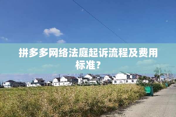 拼多多网络法庭起诉流程及费用标准？