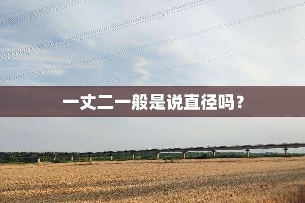 一丈二一般是说直径吗？
