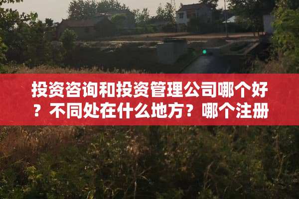 投资咨询和投资管理公司哪个好？不同处在什么地方？哪个注册资金要求高些？