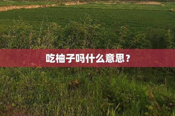 吃柚子吗什么意思？