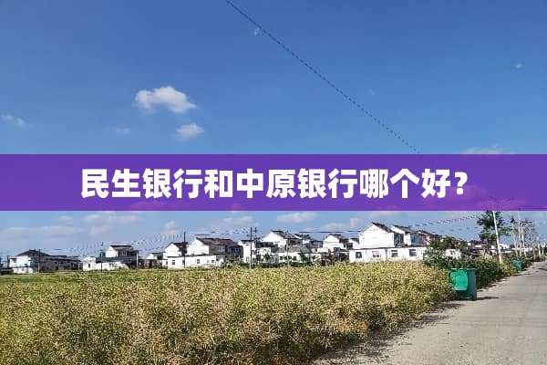 民生银行和中原银行哪个好？