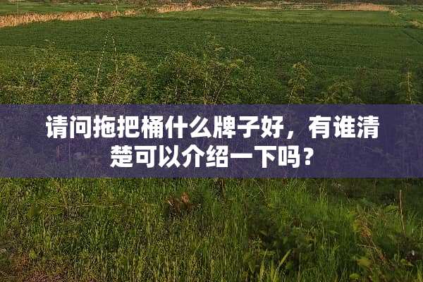 请问拖把桶什么牌子好，有谁清楚可以介绍一下吗？
