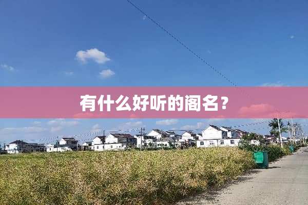有什么好听的阁名？