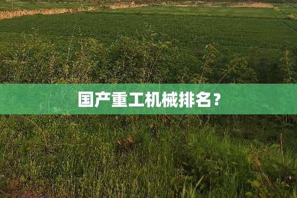 国产重工机械排名？