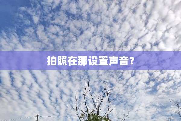 拍照在那设置声音？
