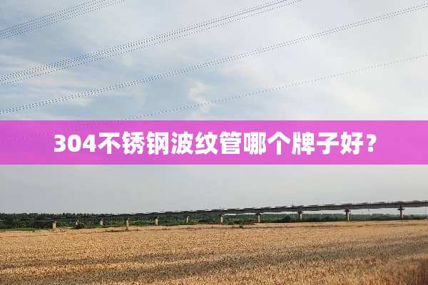 304不锈钢波纹管哪个牌子好？