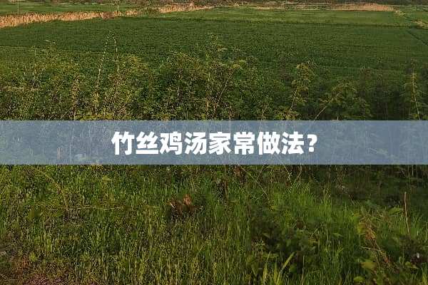 竹丝鸡汤家常做法？