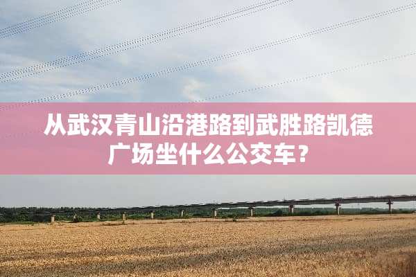 从武汉青山沿港路到武胜路凯德广场坐什么公交车？