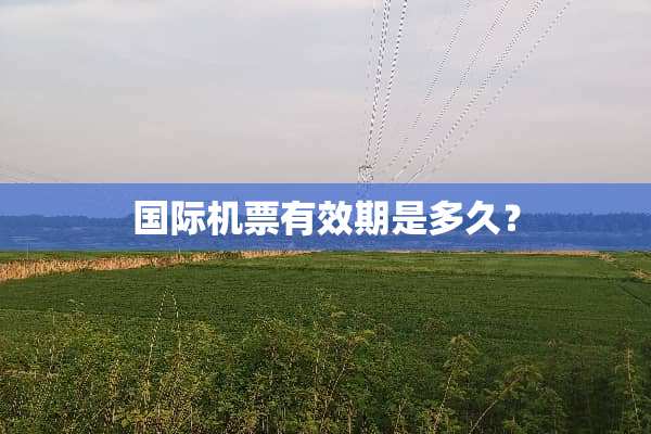 国际机票有效期是多久？