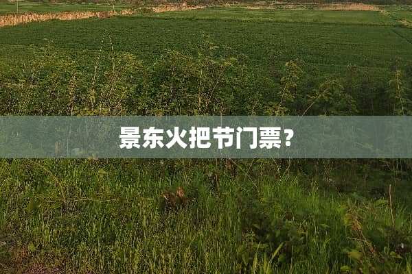 景东火把节门票？