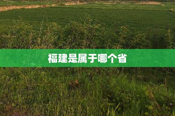福建是属于哪个省