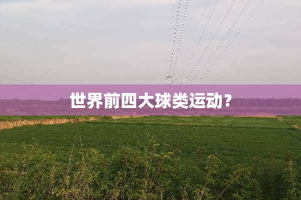 世界前四大球类运动？