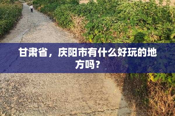 甘肃省，庆阳市有什么好玩的地方吗？