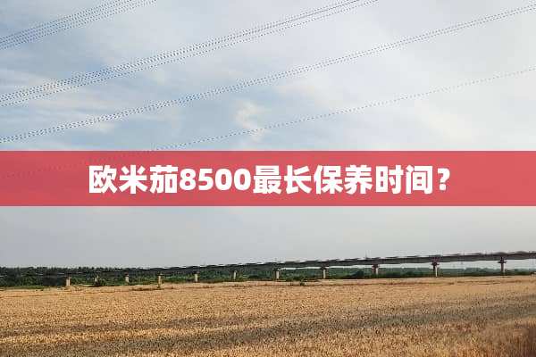欧米茄8500最长保养时间？