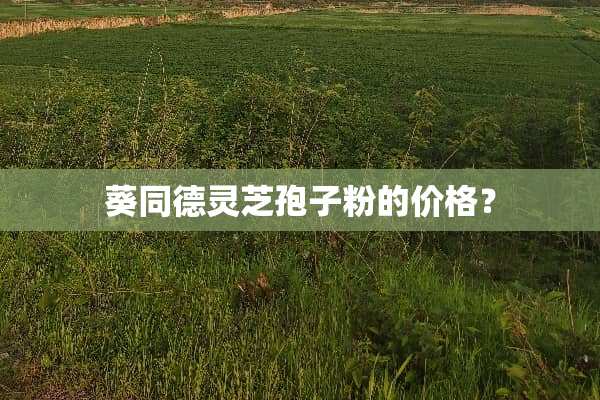 葵同德灵芝孢子粉的价格？