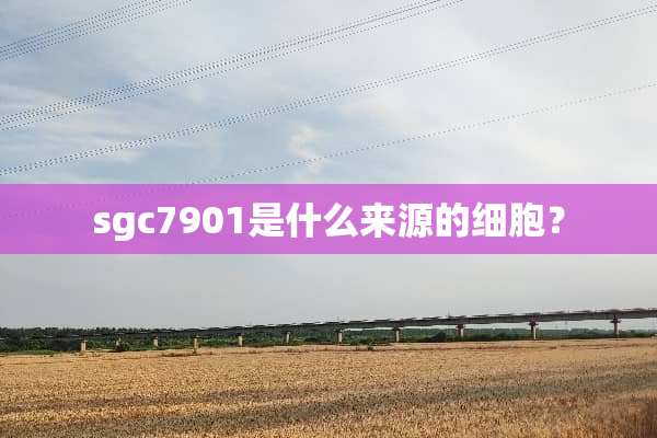 sgc7901是什么来源的细胞？