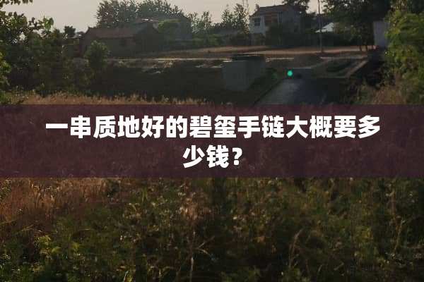一串质地好的碧玺手链大概要多少钱？