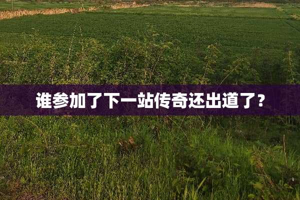 谁参加了下一站传奇还出道了？