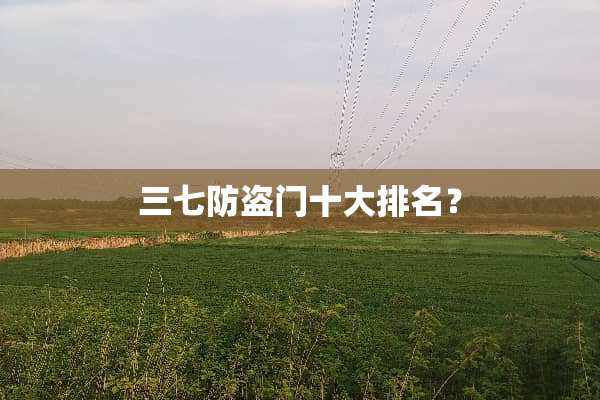 三七防盗门十大排名？