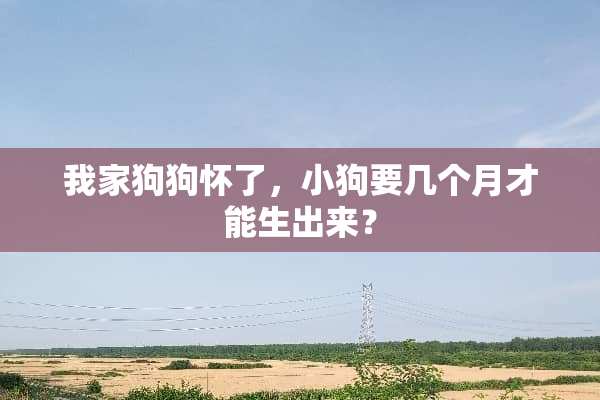 我家狗狗怀了，小狗要几个月才能生出来？