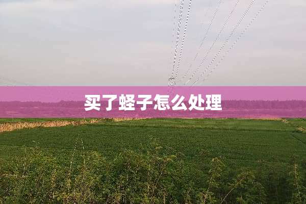 买了蛏子怎么处理