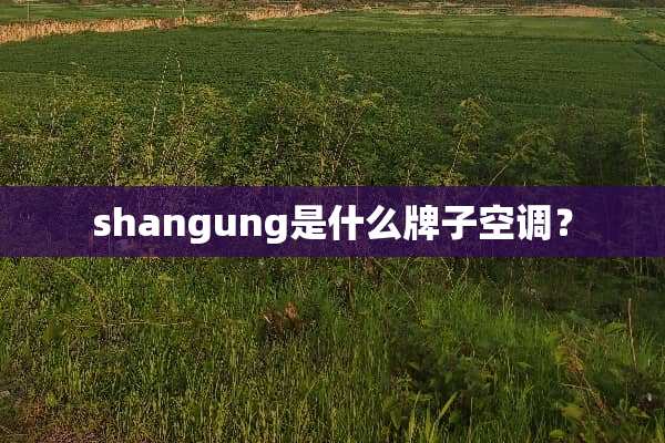 shangung是什么牌子空调？