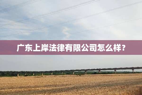 广东上岸法律有限公司怎么样？