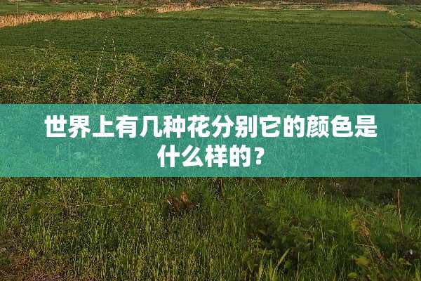 世界上有几种花分别它的颜色是什么样的？