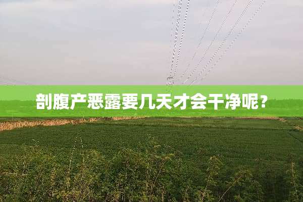 剖腹产恶露要几天才会干净呢？