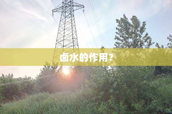 卤水的作用？