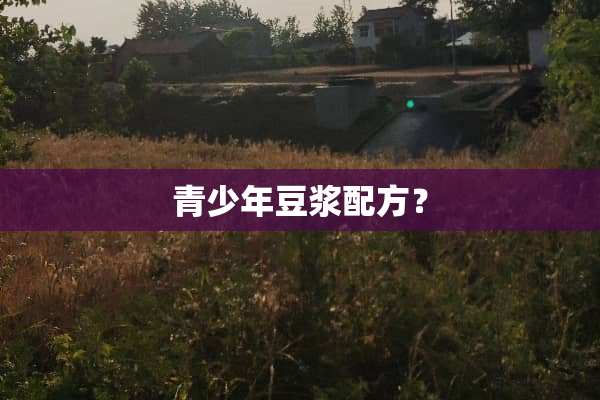 青少年豆浆配方？